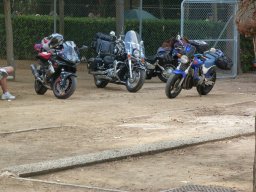 XVIII Concentracion - 2011